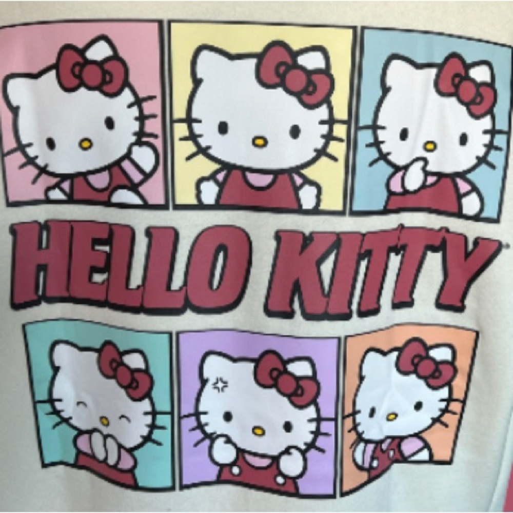 HELLO KITTY GRAPHIC HOODIE